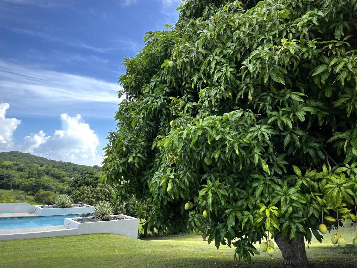 Lejos Eco Retreat Hotel Vieques Luaran gambar