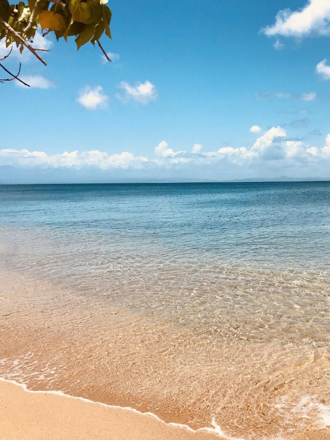 Lejos Eco Retreat Hotel Vieques Luaran gambar